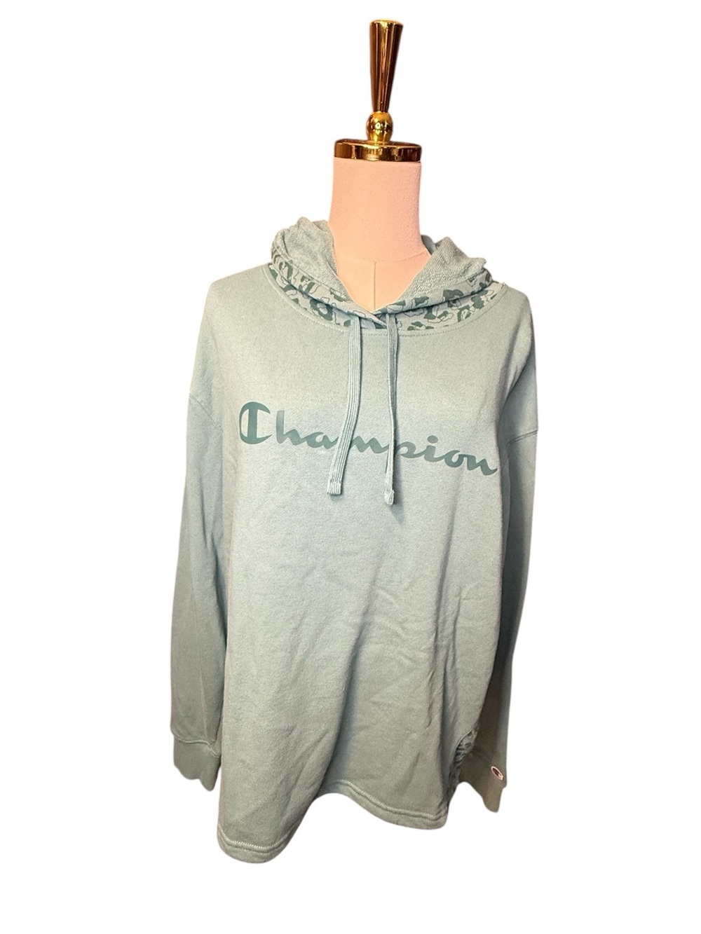 Champion Teal Green Logo Leopard Print Pullover Terry Hoodie Size XL